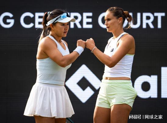 家好, dc, 其他参赛球