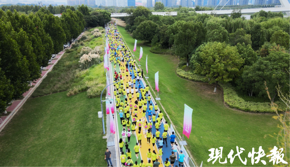 活动邀请她, 态科技岛的