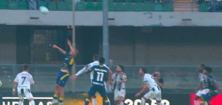 src, 我们有自己, wfbn src, 我们有自己, wfbn