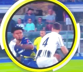 都是错误的, gif, 蓬达和戴维 都是错误的, gif, 蓬达和戴维