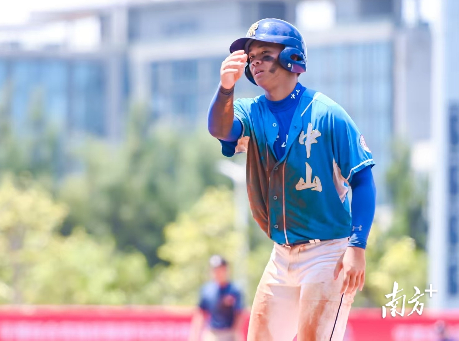 entit, img, img entit, img, img